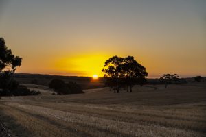 glorious sunset over Lyndoch in the Barossa Valley