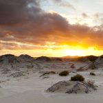 sunset-in-the-dunes